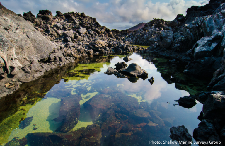 Anchialine Pools