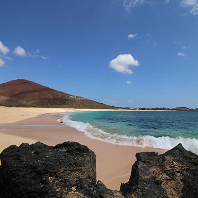 Beach Nature Reserves