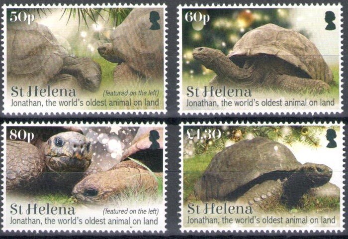 STH-Jonathan-The World's Oldest Animal on Land-Mint Set – Ascension Island Government STH-Jonathan-The World's Oldest Animal on Land-Mint Set – Ascension Island Government