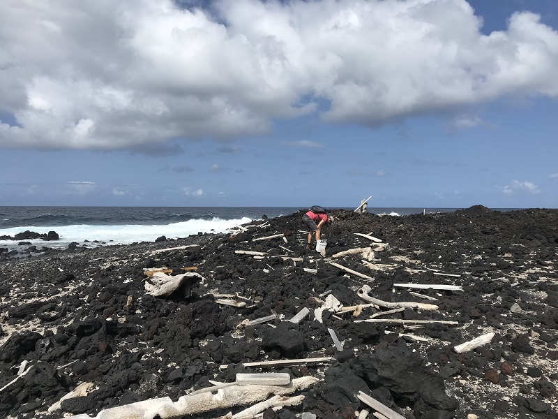 Beach clean