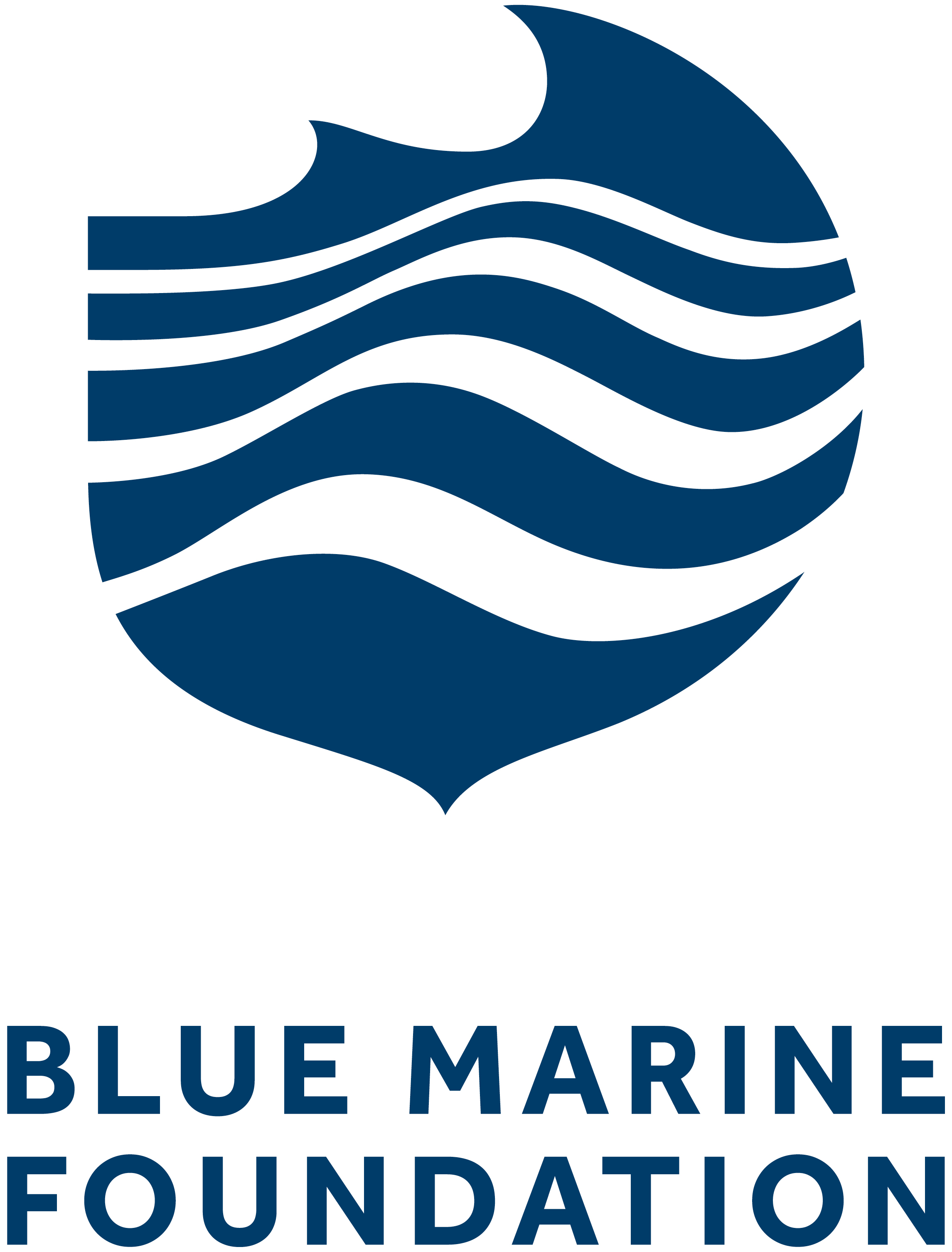 Blue Marine Foundation