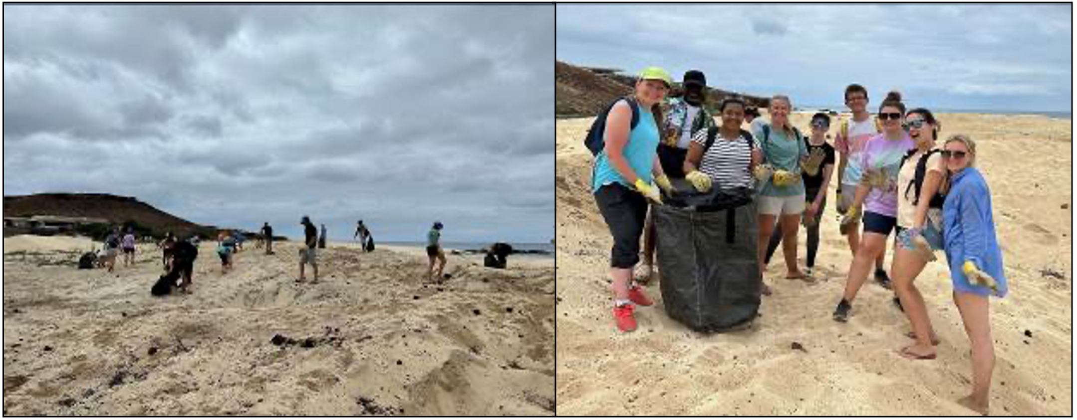 Beach Clean3