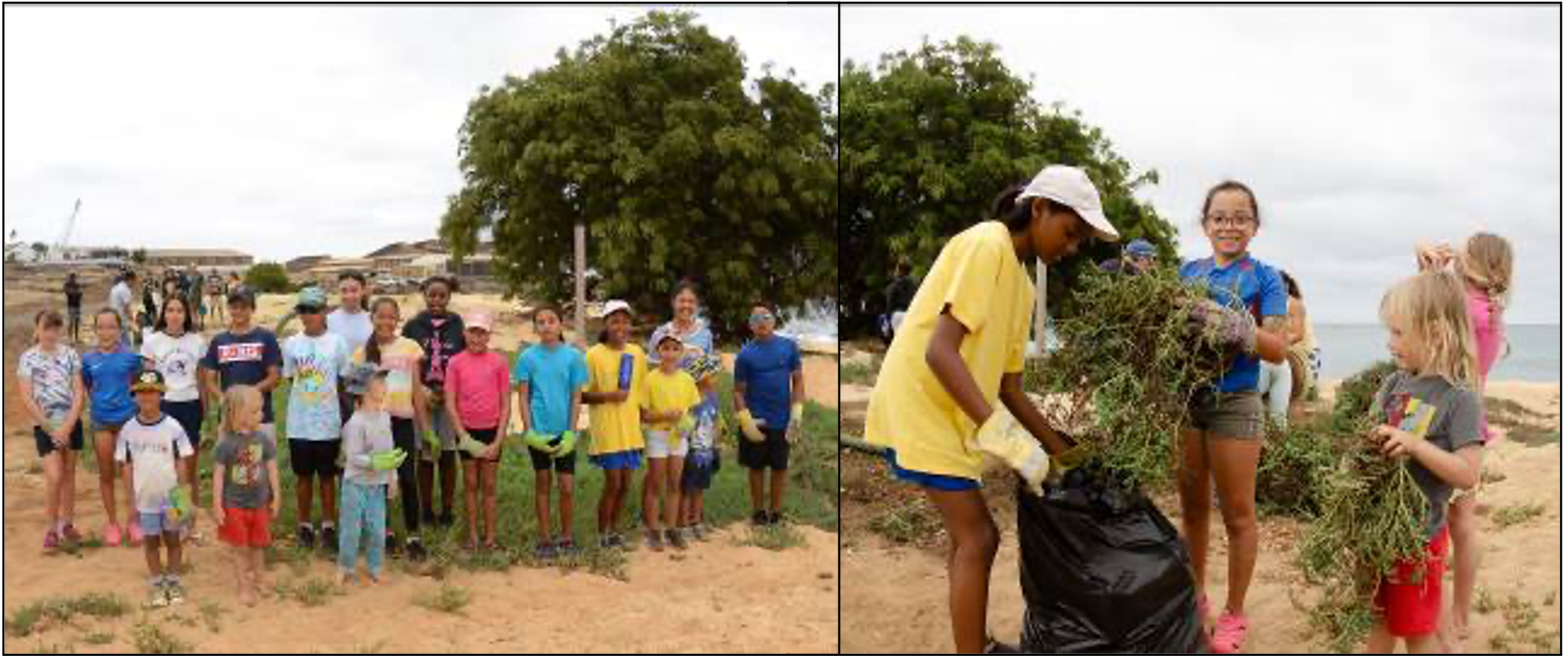 Beach Clean 4