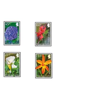 TDC GARDEN FLOWERS - MINT SET