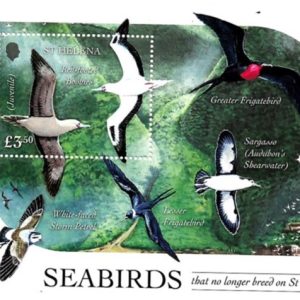 STH EXTINCT SEABIRDS - SS