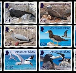 ASC - SEABIRD DEFINITIVE - MINT SET