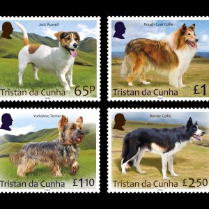 TDC - DOGS PART 1 - MINT SET