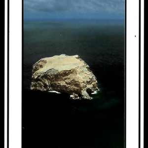 ASC - COATSWAIN BIRD ISLAND - POSTCARD
